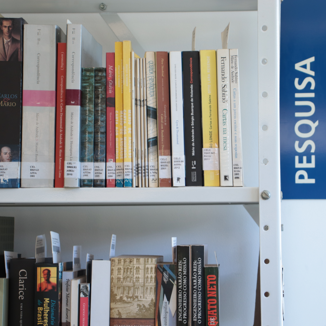 biblioteca-novo