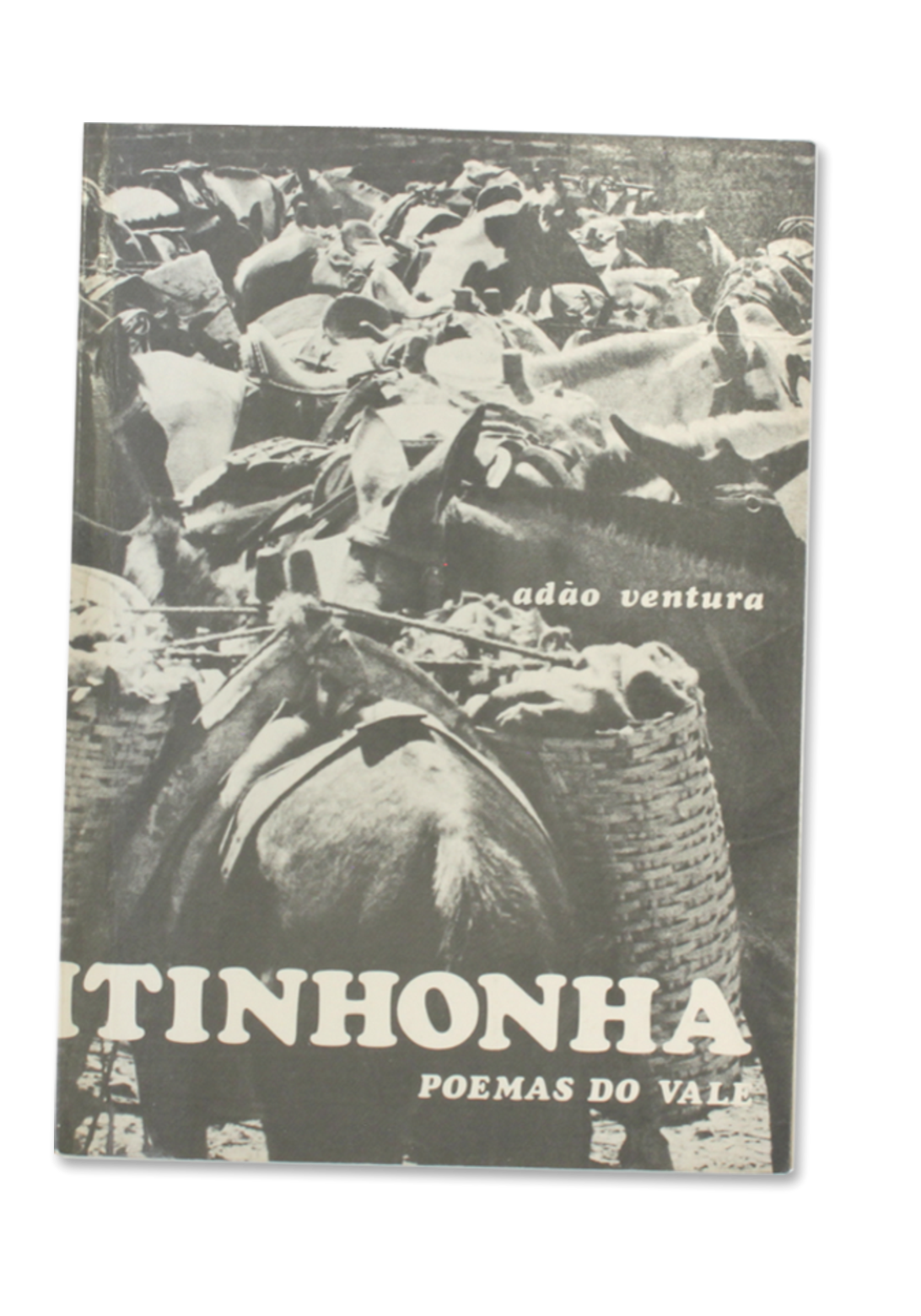 jequitinhonha